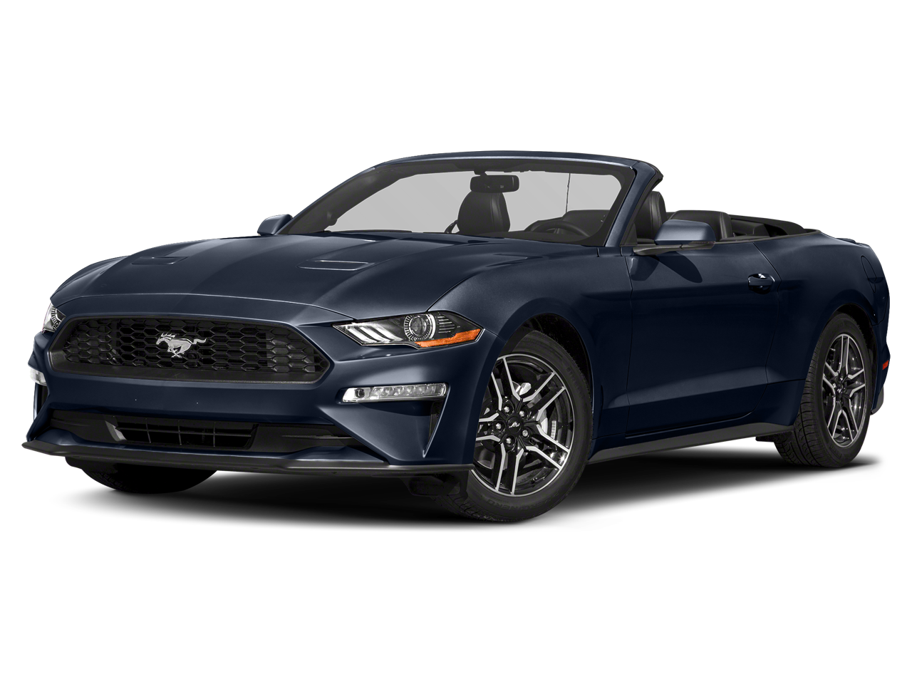 2019 Ford Mustang's photo