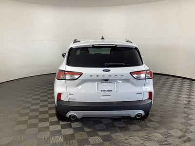 2020 Ford Escape Hybrid SE Sport Hybrid