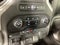 2021 Chevrolet Silverado 1500 1500 Custom Trail Boss