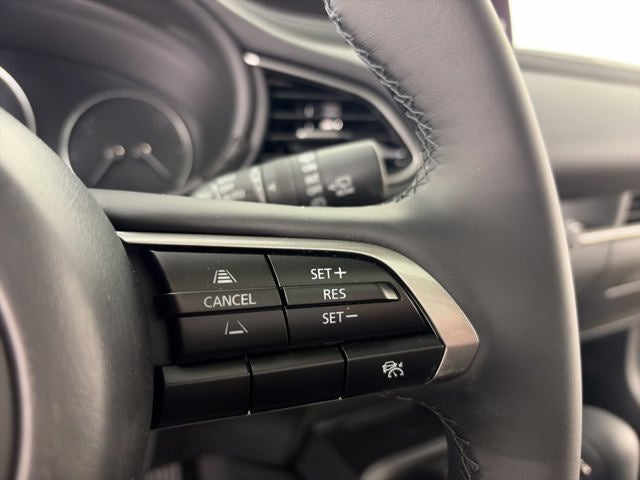 2026 Mazda Mazda CX-30 2.5 S Preferred