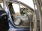 2026 Mazda Mazda3 2.5 S